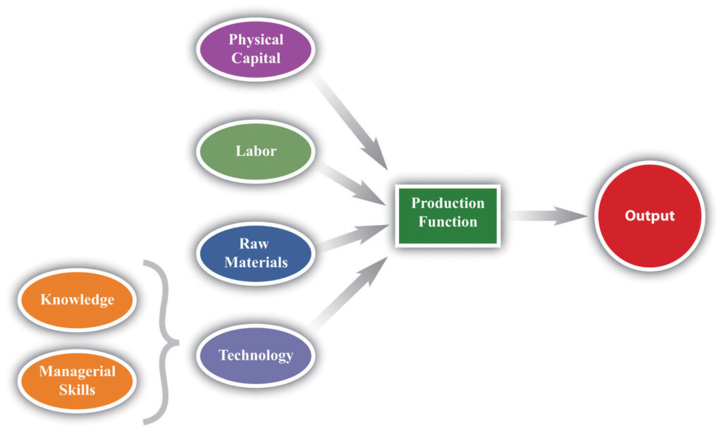 what is the function of production